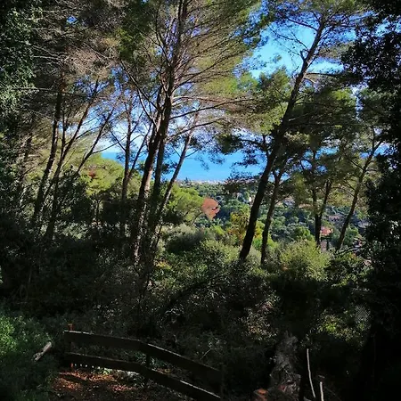 山林小屋 Azur Mountain